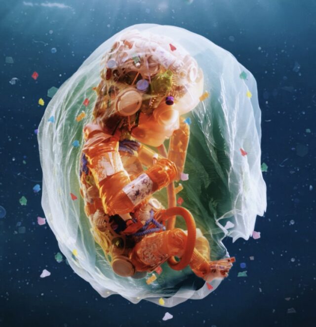 Scientists Discover Microplastics in Infant's Organs at Birth - Mother ...