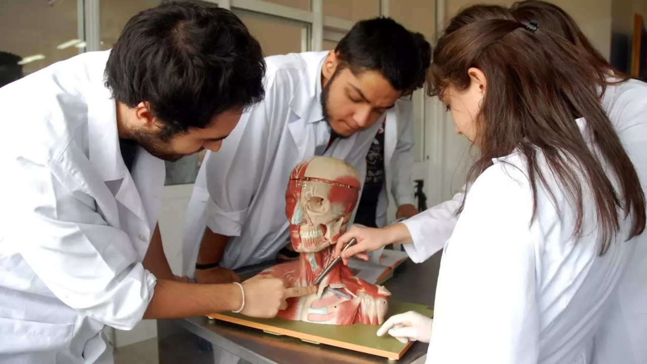 Cadaver shortage