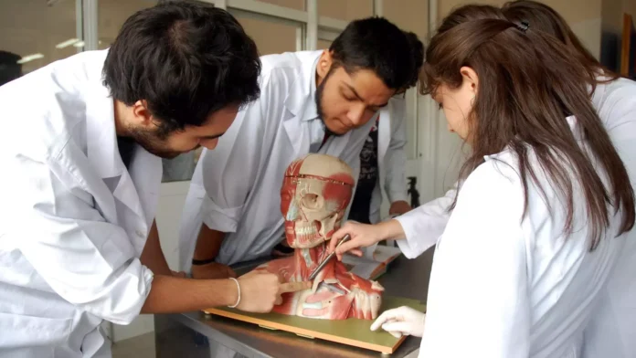 cadaver shortage in medical school Cadaver shortage