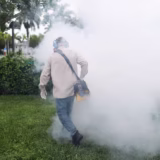 Pesticide - Mother and Baby Matters
