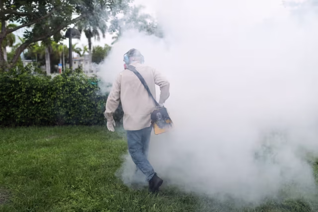 Pesticide - Mother and Baby Matters