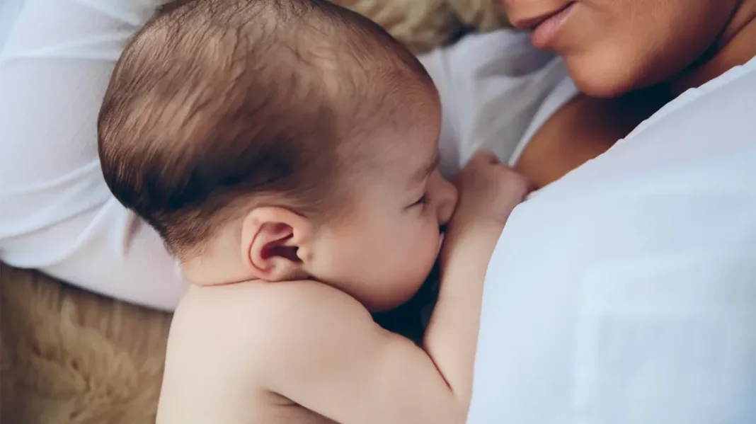 Impact of Maternal and Perinatal Factors on Early Human Milk Quality