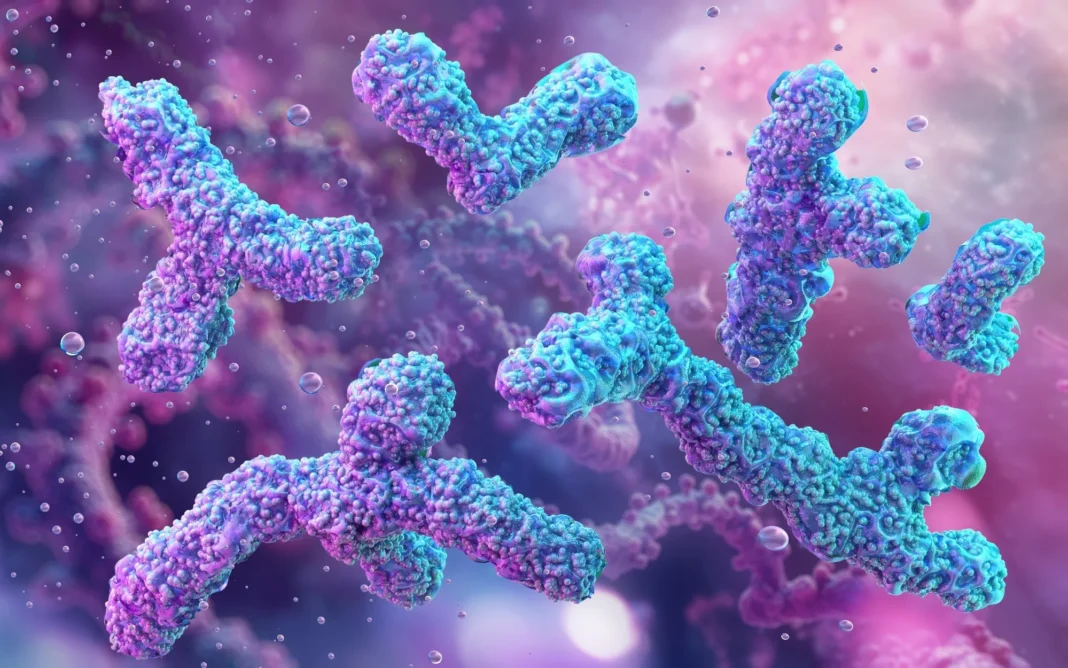 Gut Bacteria