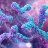 One in Four Infants Lacks Key Gut Bacteria Linked to Allergies and Immune Health
