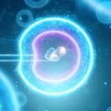 AI Breakthrough Leads to First Pregnancy in Couple After 19 Years of Infertility