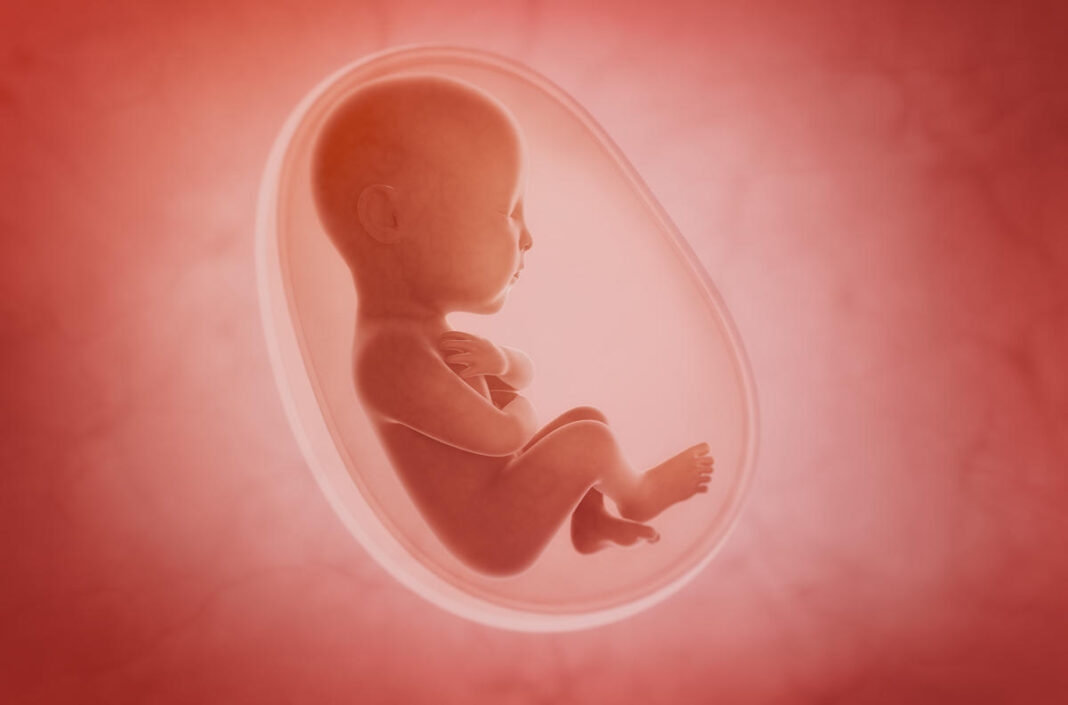 Abortions- Mother and Baby Matters