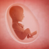 Abortions- Mother and Baby Matters